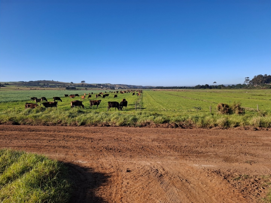 6 Bedroom Property for Sale in Riversdale Rural Western Cape